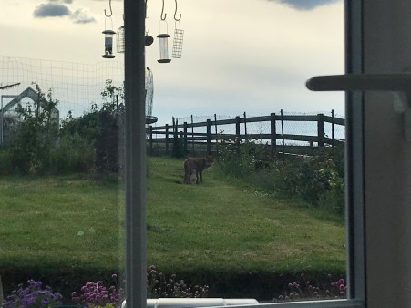 k4WwvttsQk+fznatKW5lWA