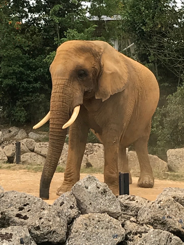 jPcERadNTSOOQHi+BxawSA