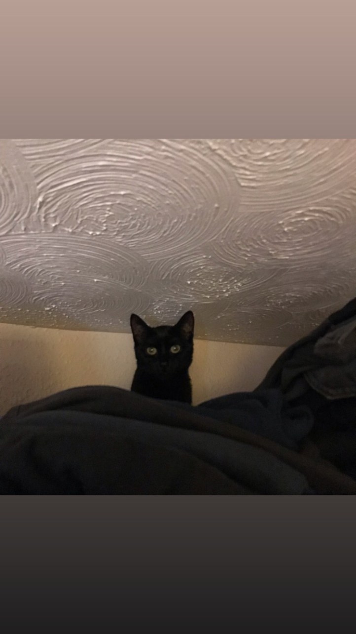 D151DDF3-51A6-446F-8A2B-A6A335B36B08